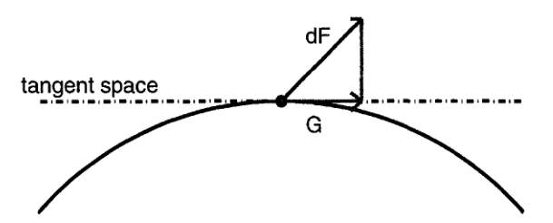 图9.7：F(Y)的无约束微分可以投影到切空间，以获得F的协变梯度G。